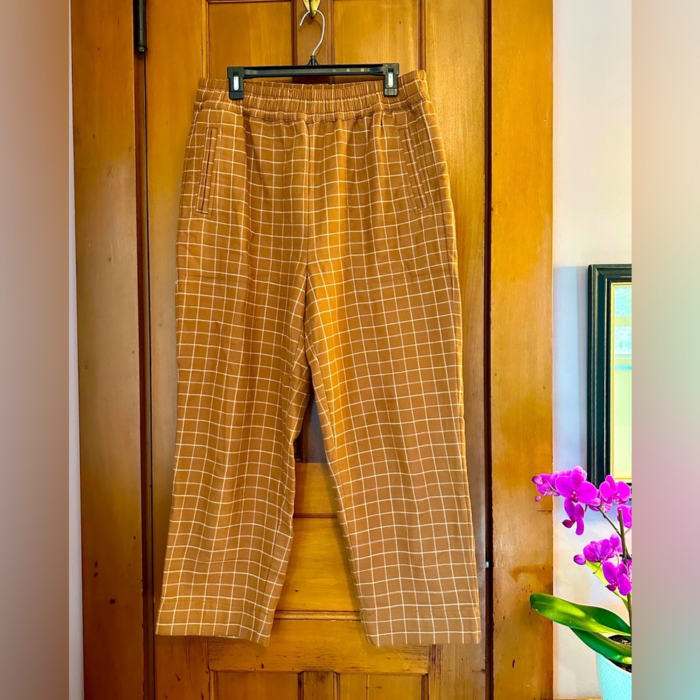 Madewell Pull-On Burnt Orange Tapered Pants